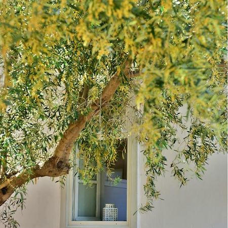Апартаменты Douskos Beach House Идра Экстерьер фото